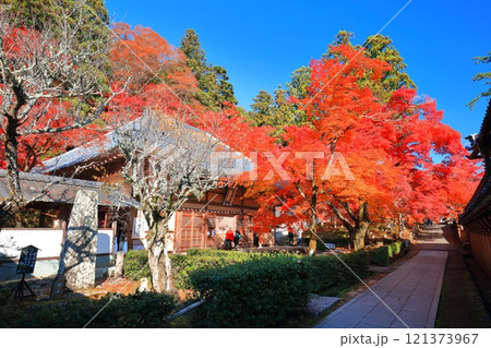 【滋賀県】晴天の永源寺の紅葉 121373967