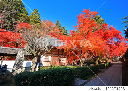 【滋賀県】晴天の永源寺の紅葉 【滋賀県】晴天の永源寺の紅葉 121373968