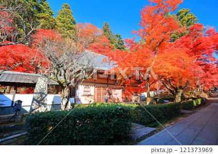 【滋賀県】晴天の永源寺の紅葉 121373969