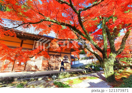 【滋賀県】晴天の永源寺の紅葉 121373971