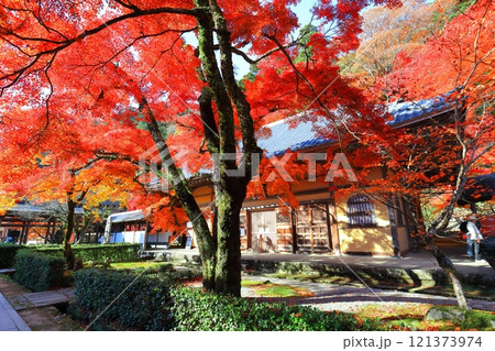 【滋賀県】晴天の永源寺の紅葉 【滋賀県】晴天の永源寺の紅葉 121373974