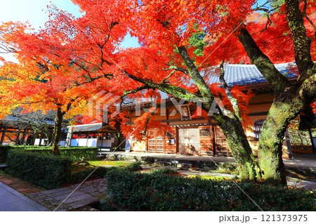 【滋賀県】晴天の永源寺の紅葉 121373975