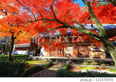 【滋賀県】晴天の永源寺の紅葉 121373978
