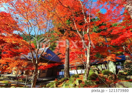【滋賀県】晴天の永源寺の紅葉 121373980