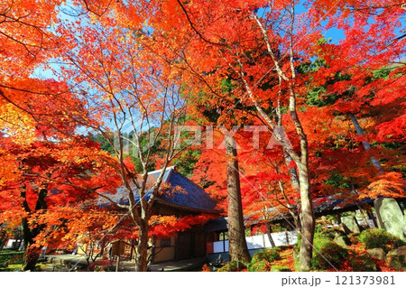 【滋賀県】晴天の永源寺の紅葉 121373981