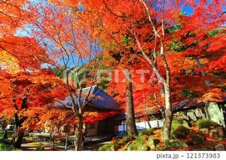 【滋賀県】晴天の永源寺の紅葉 121373983