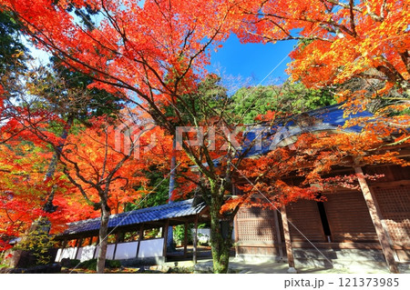 【滋賀県】晴天の永源寺の紅葉 121373985