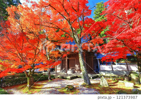 【滋賀県】晴天の永源寺の紅葉 121373987
