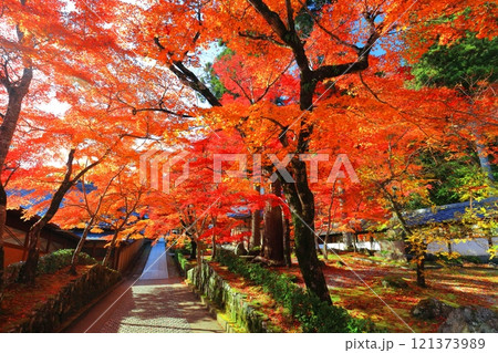 【滋賀県】晴天の永源寺の紅葉 121373989