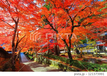 【滋賀県】晴天の永源寺の紅葉 【滋賀県】晴天の永源寺の紅葉 121373991