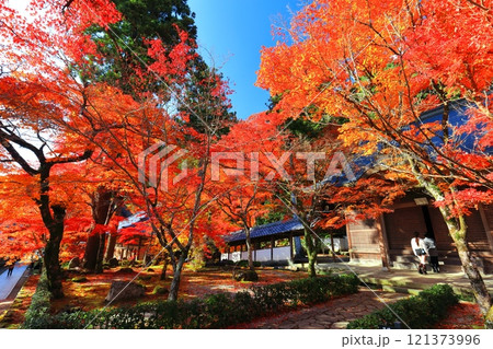 【滋賀県】晴天の永源寺の紅葉 121373996