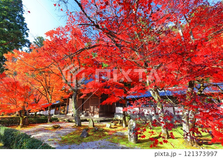 【滋賀県】晴天の永源寺の紅葉 121373997