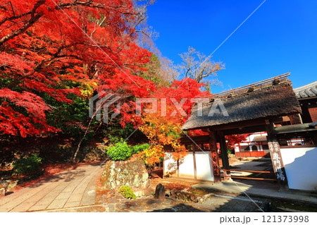 【滋賀県】晴天の永源寺の紅葉（僧堂） 121373998