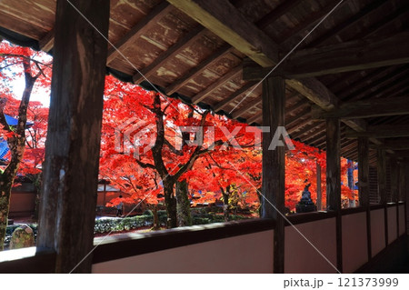 【滋賀県】晴天の永源寺の紅葉 121373999