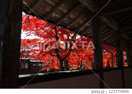 【滋賀県】晴天の永源寺の紅葉 【滋賀県】晴天の永源寺の紅葉 121374000