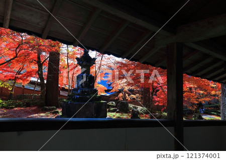 【滋賀県】晴天の永源寺の紅葉 121374001