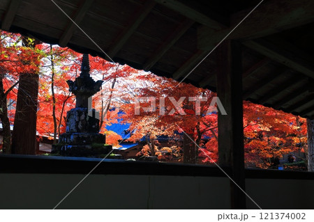【滋賀県】晴天の永源寺の紅葉 121374002