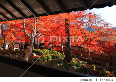 【滋賀県】晴天の永源寺の紅葉 121374003