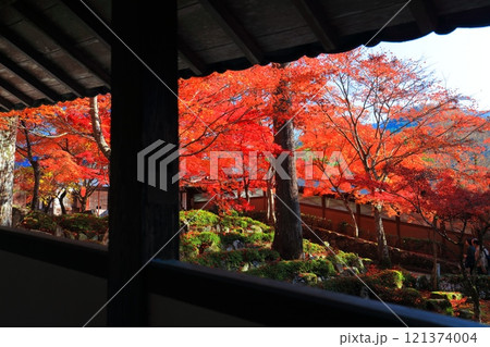 【滋賀県】晴天の永源寺の紅葉 【滋賀県】晴天の永源寺の紅葉 121374004
