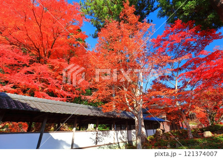【滋賀県】晴天の永源寺の紅葉 【滋賀県】晴天の永源寺の紅葉 121374007
