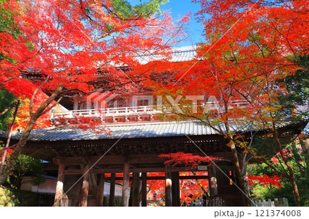 【滋賀県】晴天の永源寺の山門と紅葉 121374008