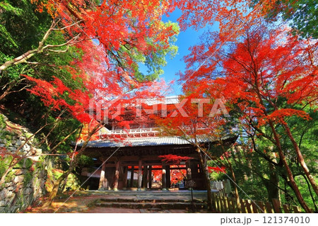 【滋賀県】晴天の永源寺の山門と紅葉 121374010