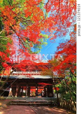 【滋賀県】晴天の永源寺の山門と紅葉 121374014