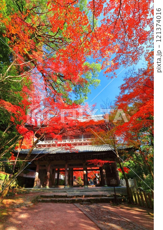 【滋賀県】晴天の永源寺の山門と紅葉 【滋賀県】晴天の永源寺の山門と紅葉 121374016