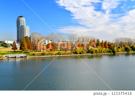 新荒川大橋／荒川より川口市方面を望む(埼玉県川口市)【2024.11】 121375418