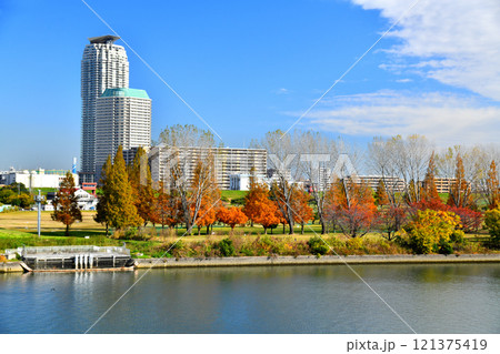 新荒川大橋／荒川より川口市方面を望む(埼玉県川口市)【2024.11】 121375419