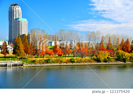 新荒川大橋／荒川より川口市方面を望む(埼玉県川口市)【2024.11】 121375420