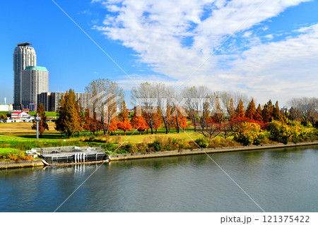 新荒川大橋／荒川より川口市方面を望む(埼玉県川口市)【2024.11】 121375422