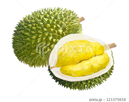 ドリアン 121375658