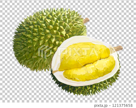 ドリアン 121375658