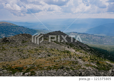Yellow green natural landscape of forest tundra 121375805