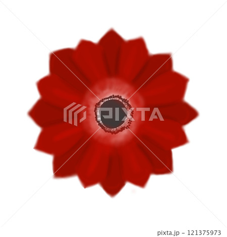 赤いアネモネ 121375973