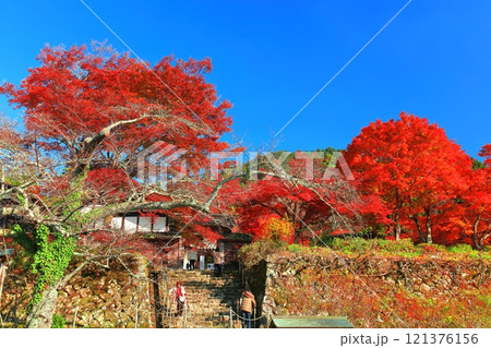 【滋賀県】晴天の百済寺の紅葉 【滋賀県】晴天の百済寺の紅葉 121376156