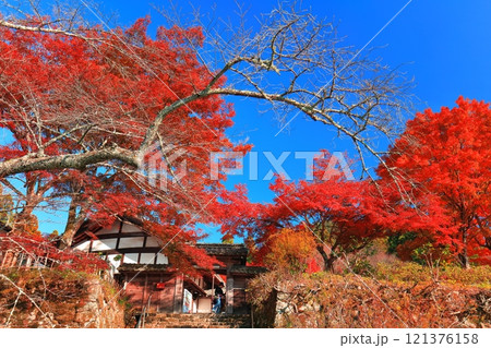 【滋賀県】晴天の百済寺の紅葉 121376158