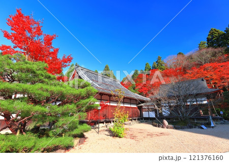 【滋賀県】晴天の百済寺の紅葉 121376160