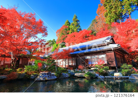 【滋賀県】晴天の百済寺の本坊庭園の紅葉 121376164