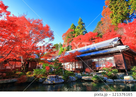 【滋賀県】晴天の百済寺の本坊庭園の紅葉 121376165