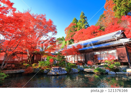 【滋賀県】晴天の百済寺の本坊庭園の紅葉 121376166