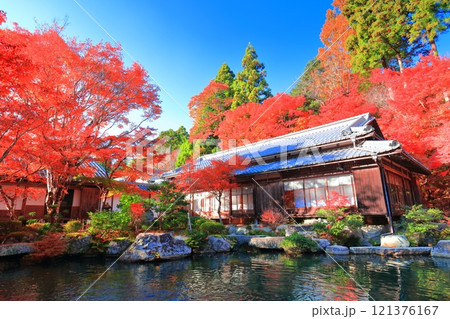 【滋賀県】晴天の百済寺の本坊庭園の紅葉 121376167