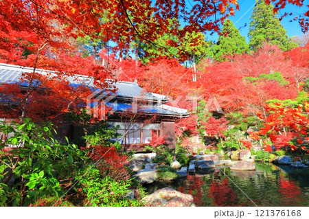 【滋賀県】晴天の百済寺の本坊庭園の紅葉 121376168