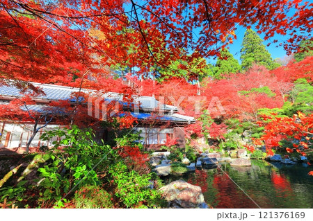 【滋賀県】晴天の百済寺の本坊庭園の紅葉 【滋賀県】晴天の百済寺の本坊庭園の紅葉 121376169