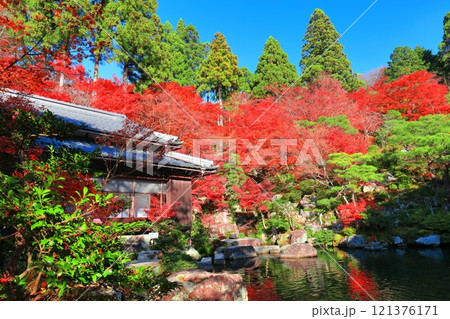 【滋賀県】晴天の百済寺の本坊庭園の紅葉 【滋賀県】晴天の百済寺の本坊庭園の紅葉 121376171