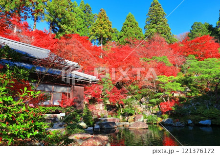 【滋賀県】晴天の百済寺の本坊庭園の紅葉 121376172
