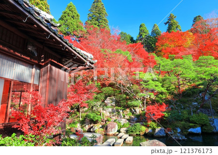 【滋賀県】晴天の百済寺の本坊庭園の紅葉 121376173