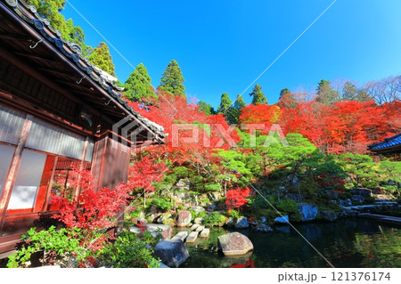 【滋賀県】晴天の百済寺の本坊庭園の紅葉 121376174