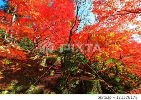 【滋賀県】晴天の百済寺の本坊庭園の紅葉 【滋賀県】晴天の百済寺の本坊庭園の紅葉 121376178